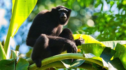 Into The Wild: Exploring Murlen National Park & Mizoram’s Untamed Beauty